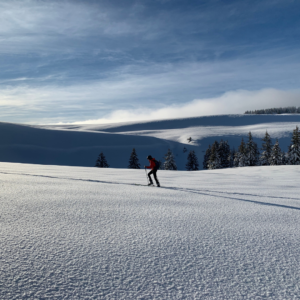Skiing In The Rhone Alpes